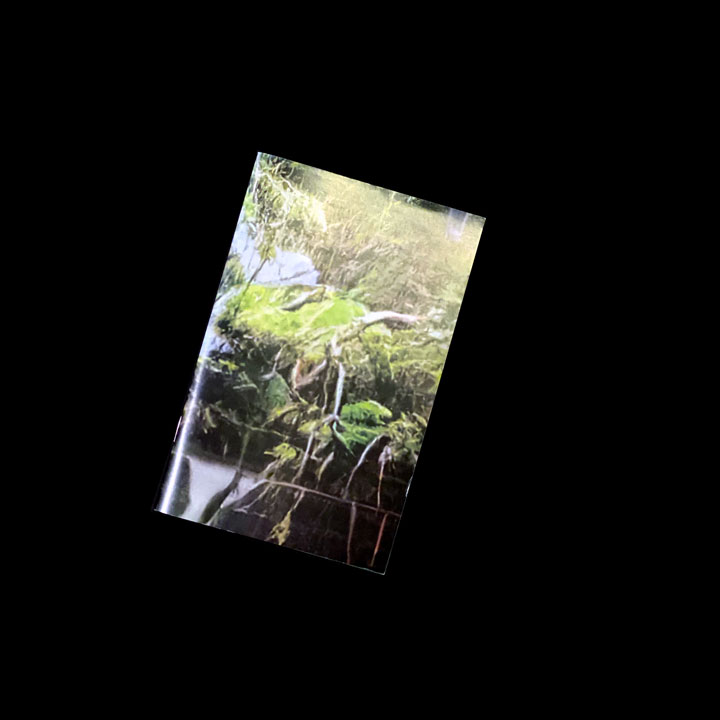 Everest Pipkin, Neural Network Generated Zine (Terrariums), 2019
