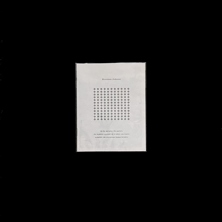 Roseanne Johnson, In the margins, the gutters, the bramble..., 2019